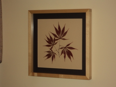 Japanese Maple Botanical Print | Botanical Prints