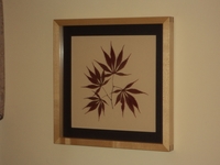 Image Japanese Maple Botanical Print