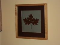 Image Northern Pin Oak Botanical Print